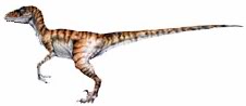 Xiaosaurus Dinosaur 