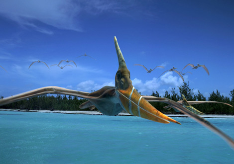 Pteranodon