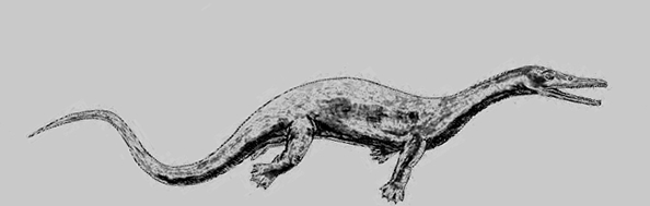 Askeptosaurus