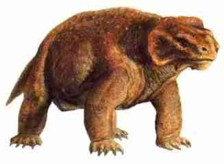 Pareiasaurus