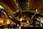 Smithsonian Institution dinosaur displays