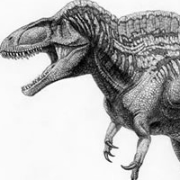 Acrocanthosaurus