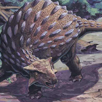 Ankylosaur & Tyrannosaurus rex