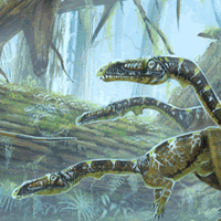 Coelophysis Dinosaur Painting