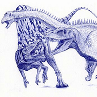 Spinosaurus aegypticus (left) Aegyptosaurus bahafijensis (middle)