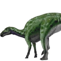 Edmontosaurus regalis