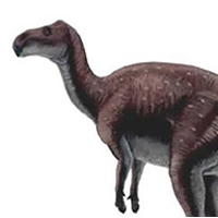 Probactrosaurus alashinicus