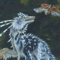 Sinovenator Dinosaur Painting