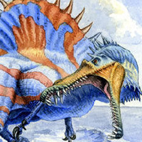 Spinosaurus aegypticus 