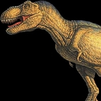 Tyrannosaurus rex 