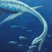 Woolung Marine Reptile Painting