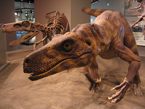 Herrerasaurus ischigualastensis
