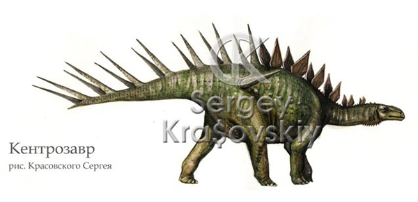 Kentrosaurus Dinosaur