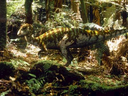 Leaellynasaura amicagraphica - Australian Dinosaurs