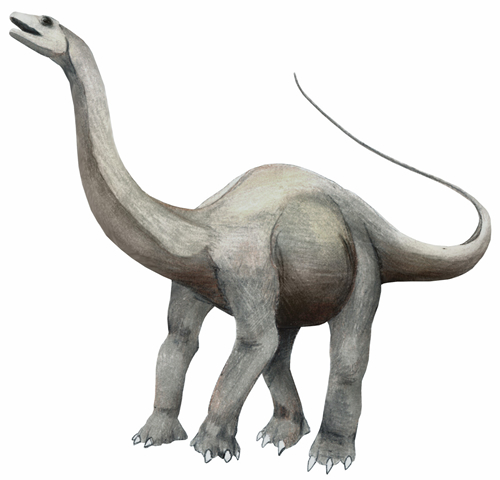 Qinlingosaurus luonanensis