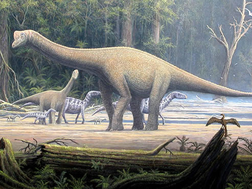 Sauropod and Iguanodons