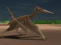 Pterosaurs walking